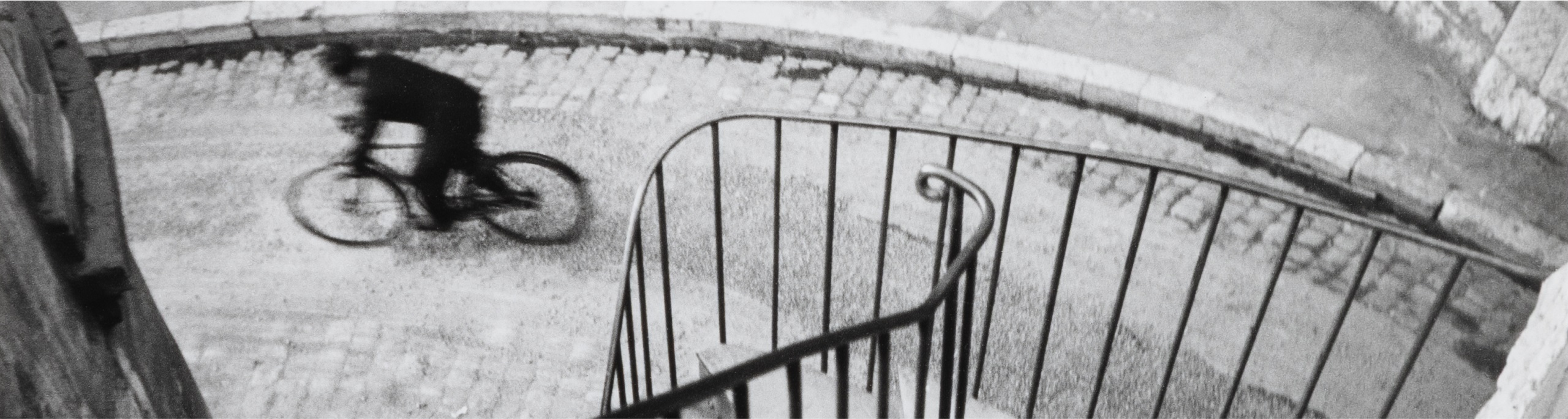 Photographs & Contemporary Fine Art