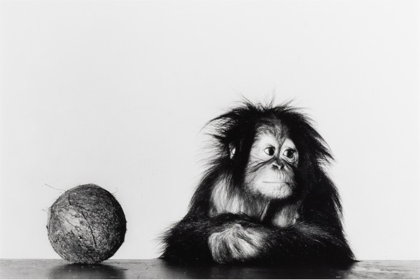 Photographs & Contemporary Fine Art