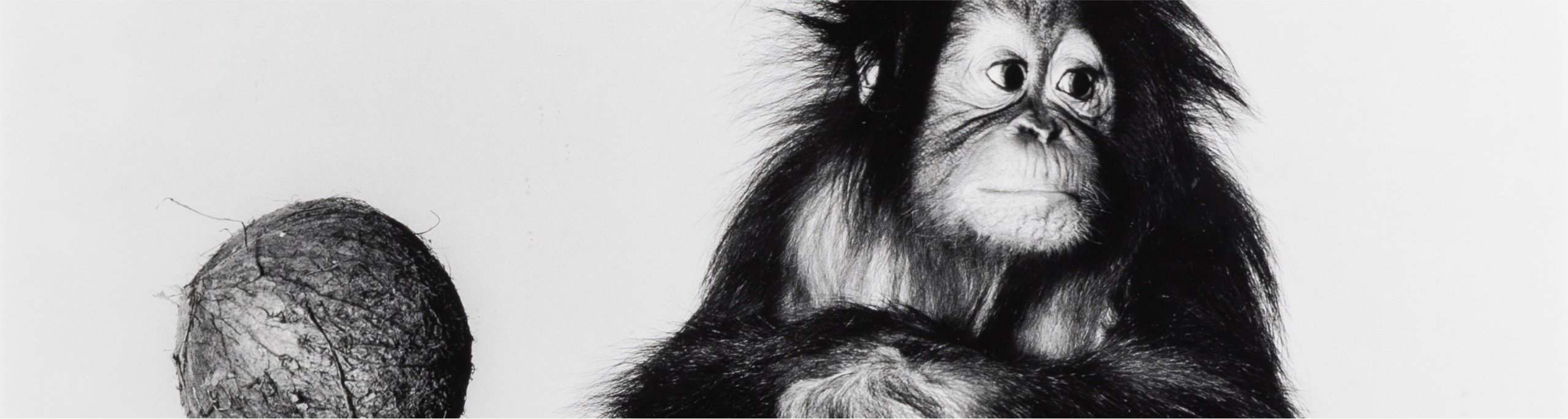 Photographs & Contemporary Fine Art