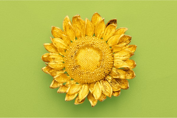 Fine Jewelry & Luxury Handbags