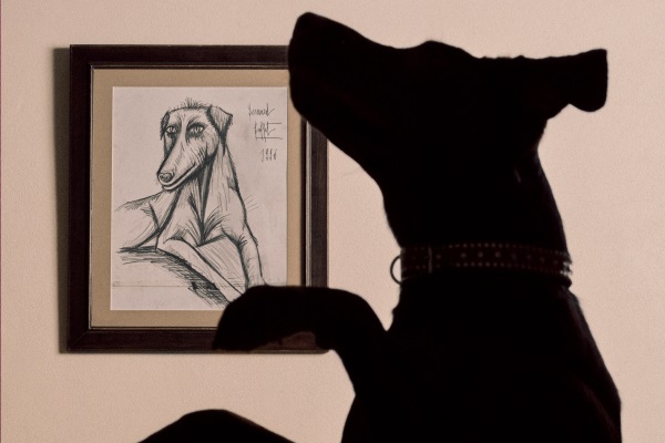 Sporting Art & Dogs in Art®
