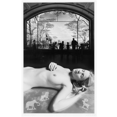 Lot 334 - UELSMANN, JERRY (b. 1954) Animal Dream 1978....