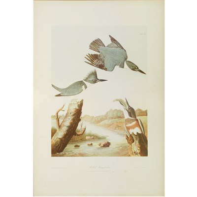 Lot 105 - After John James Audubon BELTED KINGFISHER;...