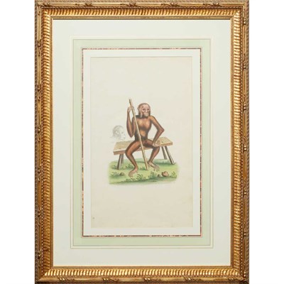 Lot 121 - George Edwards [ANIMAL STUDIES] (6); [PLANT...