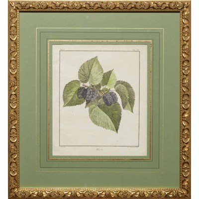 Lot 114 - Various Artists [FRUIT STUDIES] Eight...