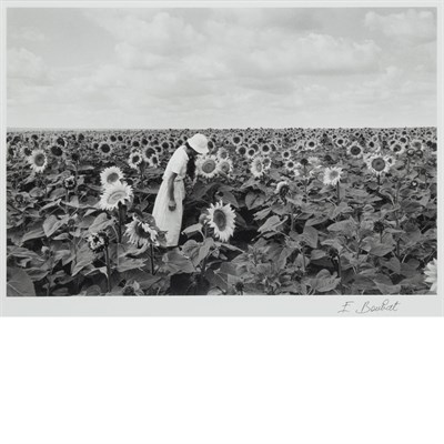 Lot 269 - BOUBAT, EDOUARD (1923-1999) Ile de France 1986....