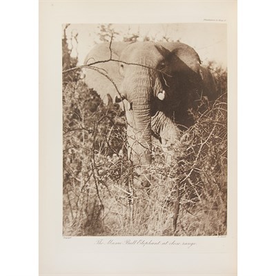 Lot 93 - MAXWELL, MARIUS Stalking Big Game with a...