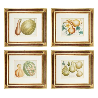 Lot 83 - After Johann Weinmann [GOURD STUDIES] Four...