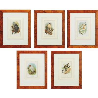 Lot 401 - Wyman & Sons, Limited [SIMIAN STUDIES] Ten...