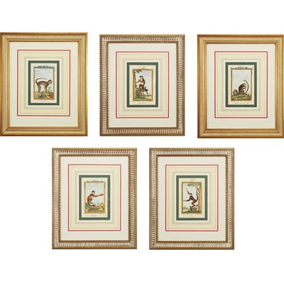Lot 400 - A. Bell [MONKEY STUDIES] Six hand-colored...