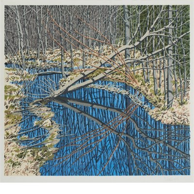 Lot 202 - Neil Welliver SKY IN CORA'S MARSH Color...