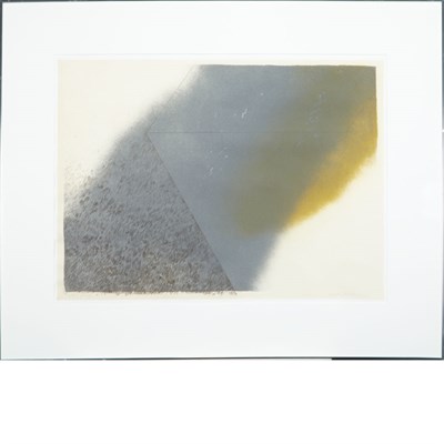 Lot 98 - Herb Jackson BLOOM Color etching, signed and...
