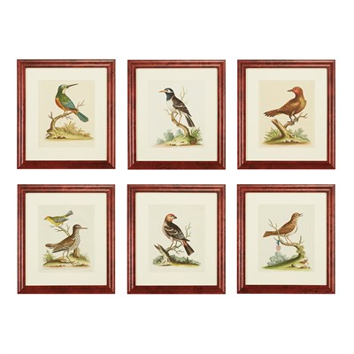 Lot 215 - George Edwards (1694-1773) [BIRD STUDIES] Six...