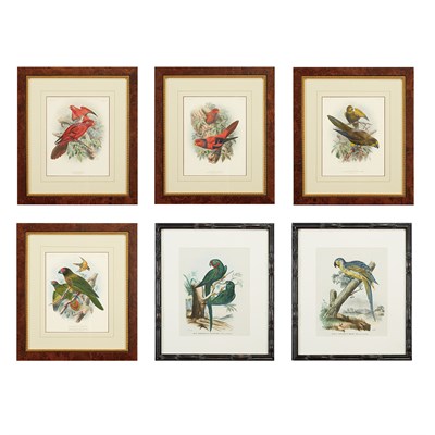 Lot 232 - John Gerrard Keulemans ( 1842-1912) [PARROT...