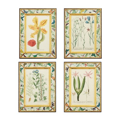 Lot 220 - Johann Wilhelm Weinmann (1683-1741) [PLANT...