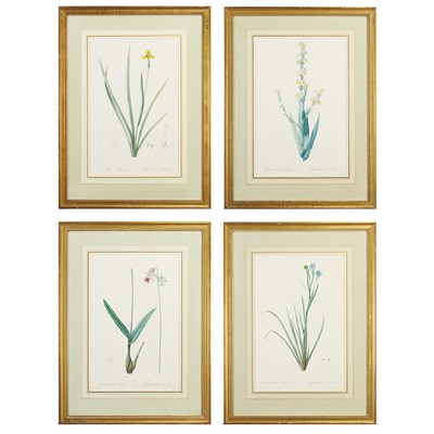 Lot 214 - After Pierre-Joseph Redoute [FLOWER STUDIES]...