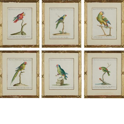 Lot 596 - Xaviero Manetti [PARROT STUDIES] Six...
