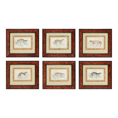 Lot 84 - After Stewart [WILDCAT STUDIES] Six...