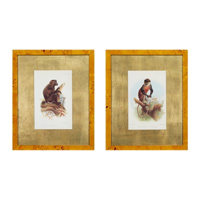 Lot 87 - M. & N. Hanhart, publisher [MONKEY STUDIES]...