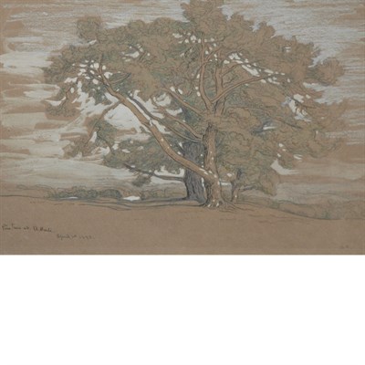 Lot 12 - Samuel Colman American, 1832-1920 Pine Trees...