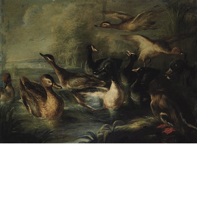 Lot 53 - Neapolitan School 18th Century Ducks in a Pond...