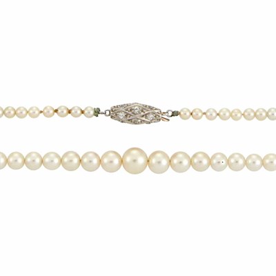 Lot 860 - Cultured Pearl Necklace with Platinum and Diamond Clasp