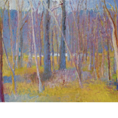 Lot 35 - Wolf Kahn American, b. 1927 Pond Deep in the...