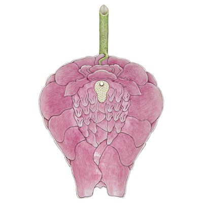 Lot 95 - Chinese Famille Rose Porcelain Water Dropper...