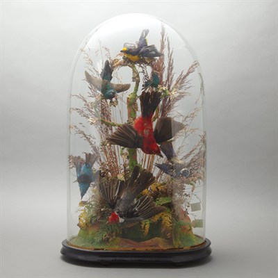Lot 406 - Glass Domed Bird Aviary Late 19th/early 20th...