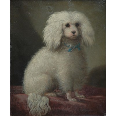 Lot 37 - C. Richard 19th Century Poodle Seated (Ninie)...