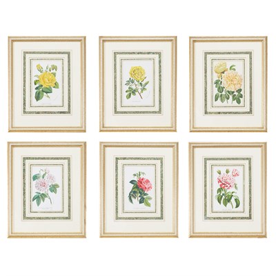 Lot 78 - Artist Unknown [FLOWER STUDIES] Six...