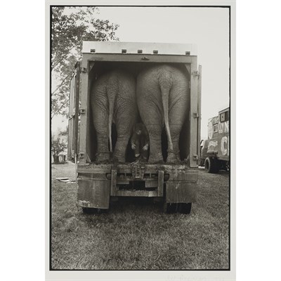 Lot 681 - FREEDMAN, JILL (b. 1939) Elephants, 1971....