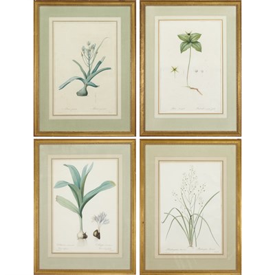 Lot 77 - After Pierre-Joseph Redoute [FLOWER STUDIES]...