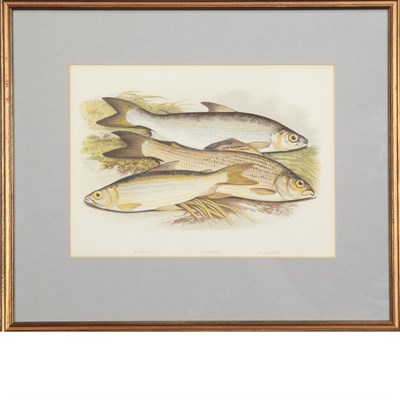Lot 87 - Various Artists [PIG AND SHEEP STUDIES] Six...