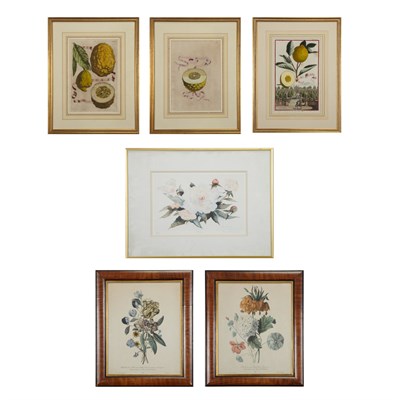 Lot 86 - Various Artists [CITRUS STUDIES] Three...