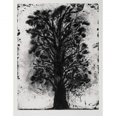 Lot 45 - Jim Dine GROW AND GORE (CARPENTER 149) Etching...