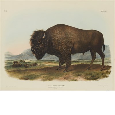 Lot 90 - After John James Audubon AMERICAN BISON OR...