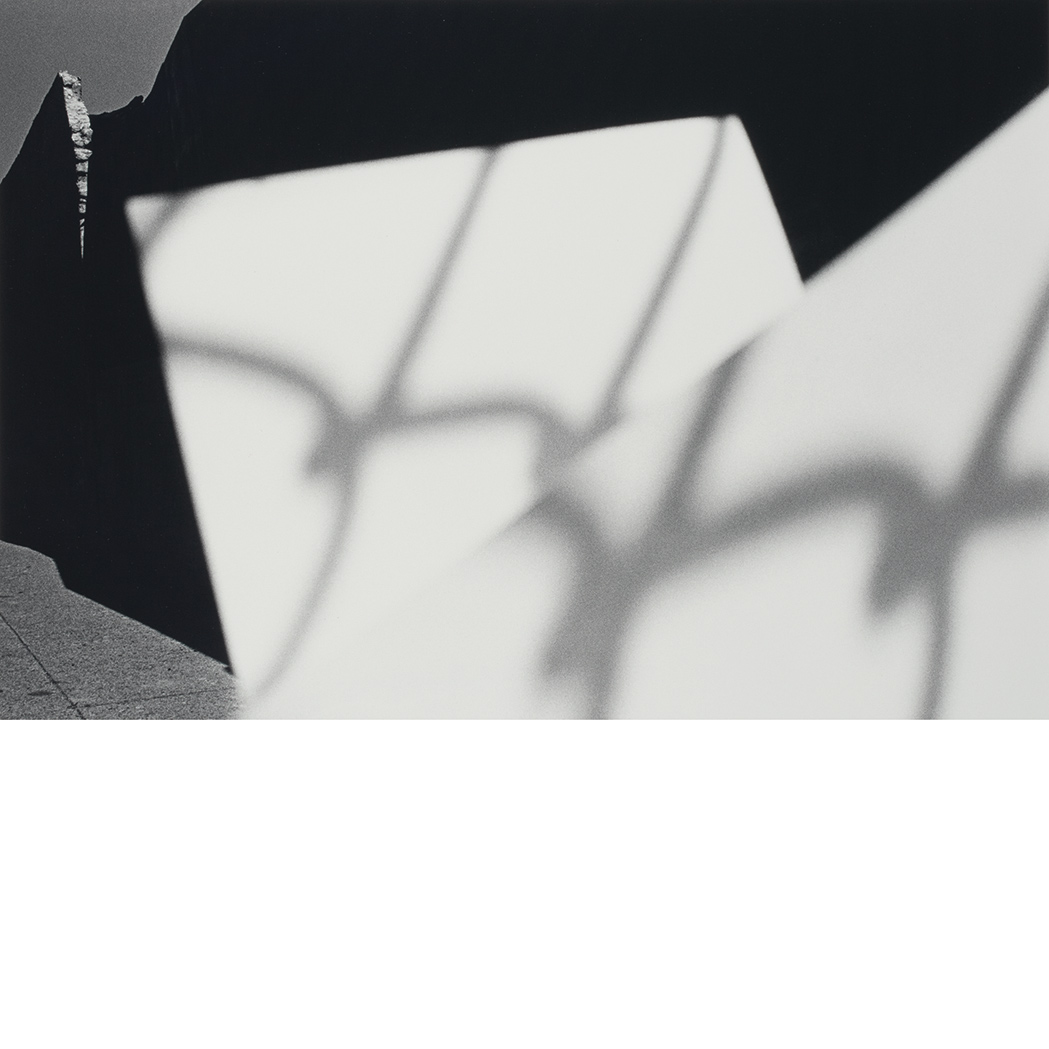 Lot 711 - METZKER, RAY (1931-2014) [Pictus Interruptus:...