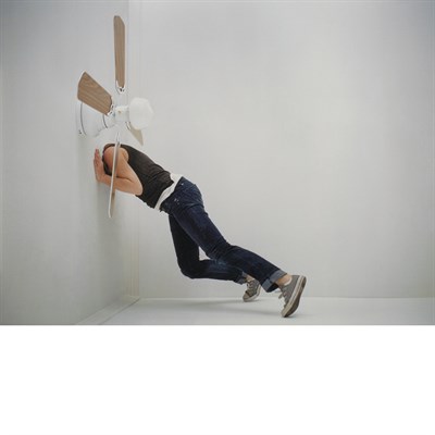 Lot 765 - MATERAZZI, LEE Head in Ceiling Fan. C print...