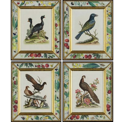 Lot 383 - George Edwards (1694-1773) [BIRD STUDIES] Four...