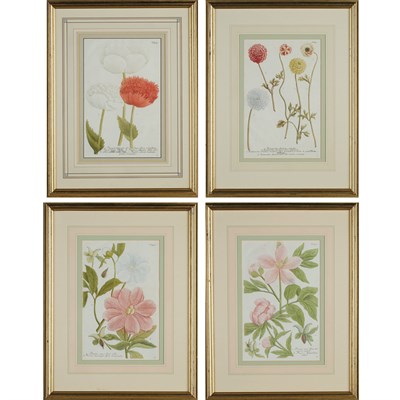 Lot 433 - After Johann Weinmann (1683-1741) [FLORAL...