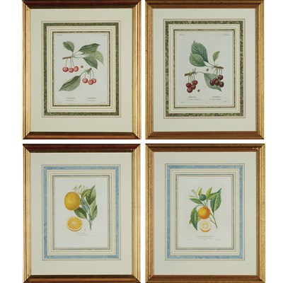Lot 499 - After Pierre-Joseph Redoute (1759-1840)...