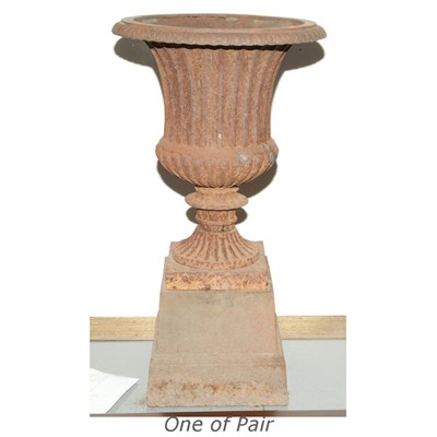 Lot 463 - Pair of Rustic Iron Urns on Pedestals Height...