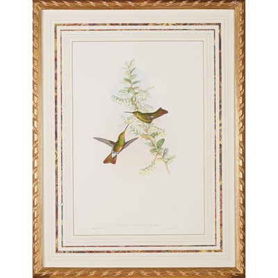 Lot 154 - J. Gould and H.C. Richter [HUMMINGBIRDS] Three...