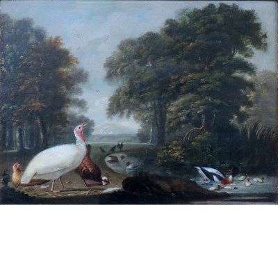 Lot 70 - Attributed to Cornelia de Ryck A White Turkey...