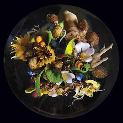 Lot 186 - Paul Stankard American, b. 1943 Bee and Spider...