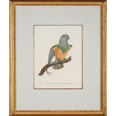 Lot 225 - Jacques Barraband (1767-1809) [PARROT STUDIES]...