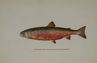 Lot 67 - SOUTHARD, CHARLES ZIBEON Trout fly-fishing in...