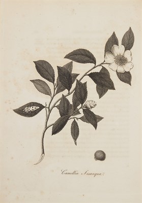 Lot 68 - SPEECHLY, WILIAM A Treatise on the Culture of...