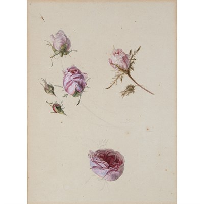 Lot 47 - Follower of Anne Vallayer-Coster Study of Rose...